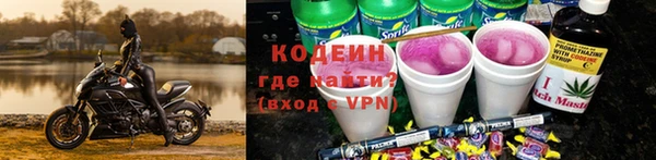 СК Инта