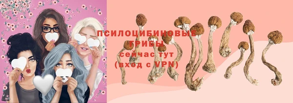 стафф Инсар