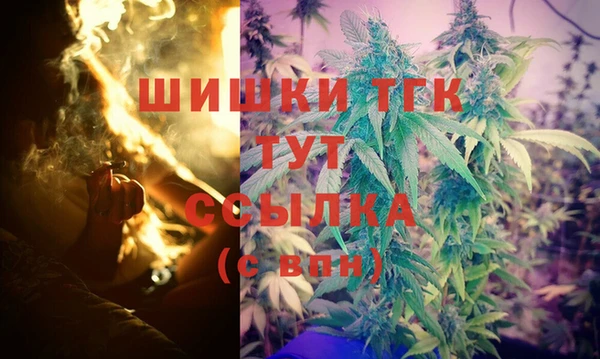МДПВ Каменск-Шахтинский