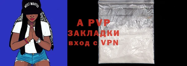 эйфоретик Иннополис