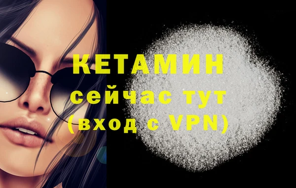 СК Инта
